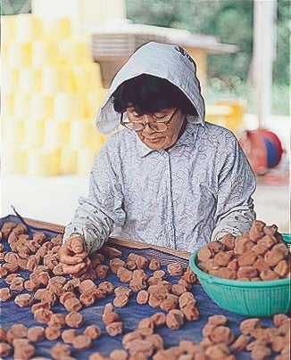 藤枝市外の方】訳あり南高梅はちみつ 700g×2樽 | ふじえ〜らMarket